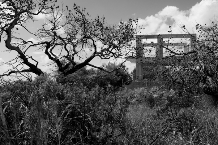 fotoastridbartl-1234